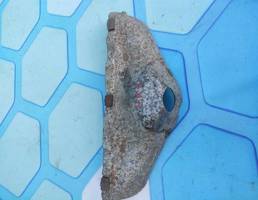 Экран тепловой для VW Passat B6 (2005-2010)  запчасти бу