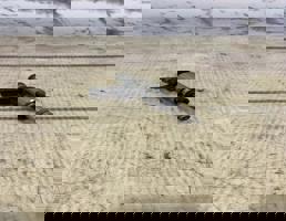 Форсунка топливная бензиновая для VW Tiguan 2 Рест (2021-2024)  запчасти бу