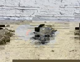 Компрессор кондиционера для Audi A5 / S5 / 8T / Coupe / Sportback (2008-2016)  запчасти бу