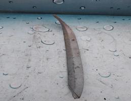 Обшивка багажника для Ford Focus II (2005-2008) Дорестайлинг  запчасти бу