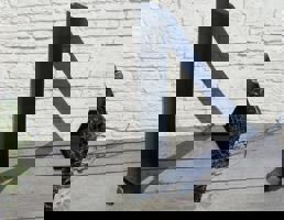 Накладка лобового стекла правая для Land Rover Discovery III (2004-2009)  запчасти бу