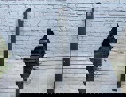 Молдинг двери передней левой верх для Volvo XC90 (2002-2015)  запчасти бу