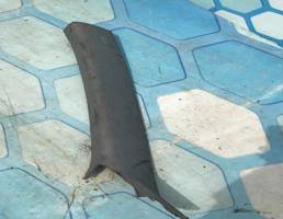 Накладка стойки передней левой  для VW Touareg 1 (2002-2007)  запчасти бу