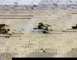 Форсунка топливная бензиновая для VW Tiguan 2 Рест (2021-2024)  запчасти бу