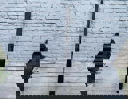 Молдинг двери передней левой средний для Audi A4 / B7 (2005-2007)  запчасти бу