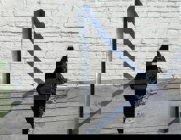 Молдинг двери передней левой нижний для Volvo S40 IV (2004-2012)  запчасти бу